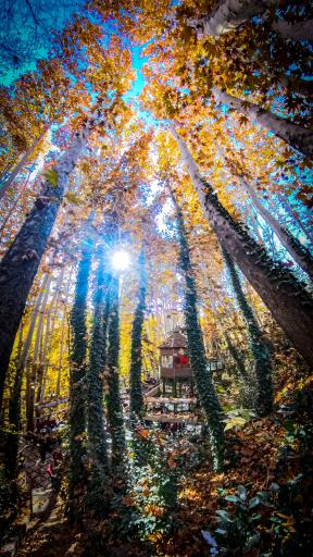 عکس مجتمع گردشگری قصر خورشید طرقبه