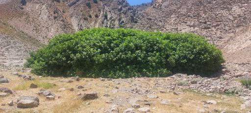 عکس چشمه‌های آب‌گرم کلات