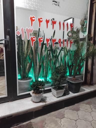 عکس آژانس شبانه روزی مریان
