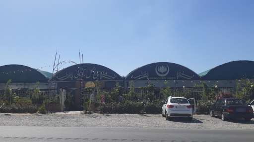 عکس اولین جنگل استوایی (جنگل استوایی رویا)