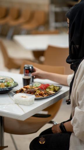 عکس کباب ترکی دیزین ترک