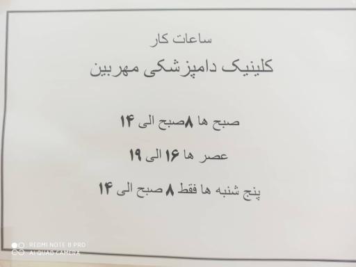 کلینیک دامپزشکی مهربین