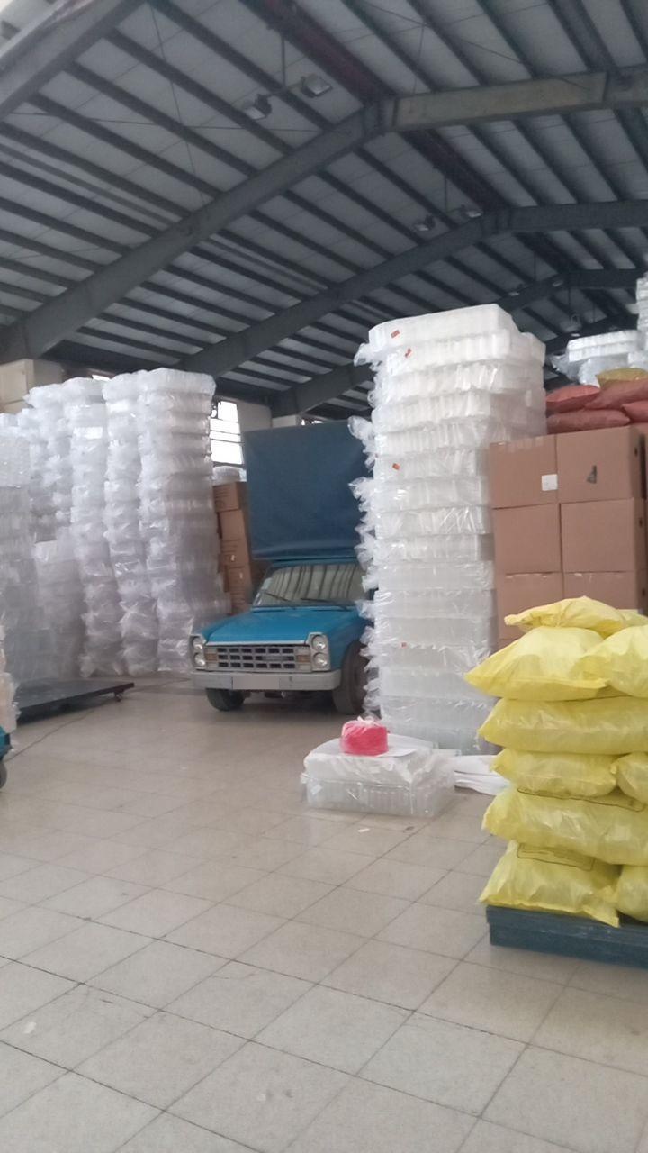 عکس آنا پلاست 