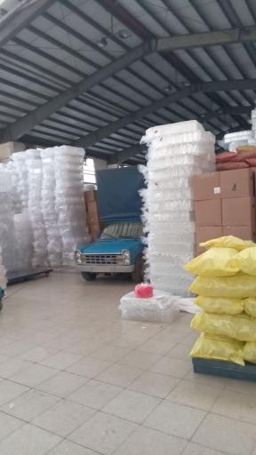 عکس آنا پلاست 