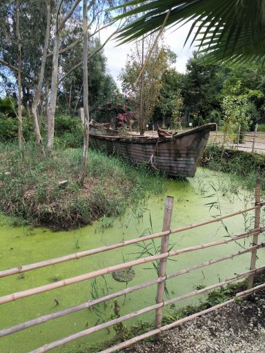 عکس مرداب و تالاب