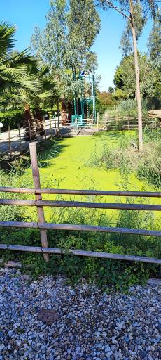 مرداب و تالاب