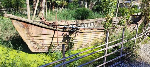 مرداب و تالاب