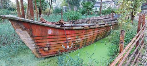 مرداب و تالاب