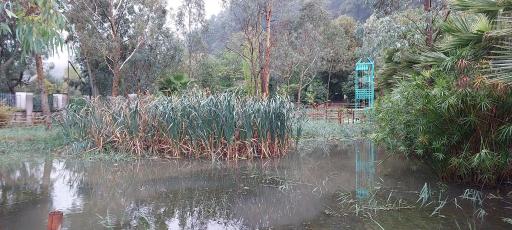 عکس مرداب و تالاب