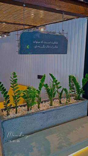 عکس ونوس استون 