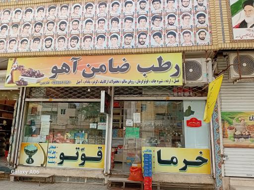 عکس رطب ضامن آهو