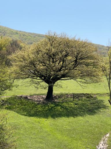 عکس دریاچه اِسطِلِ بار