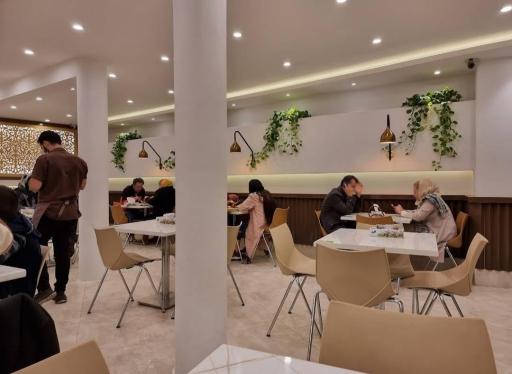 عکس کباب ترکی دیزین ترک