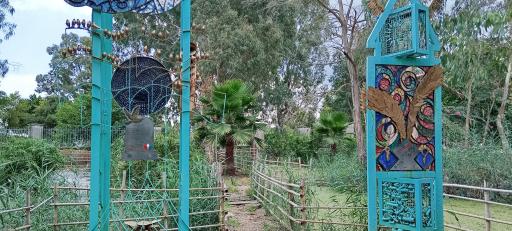 عکس مرداب و تالاب