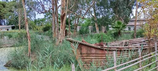 عکس مرداب و تالاب