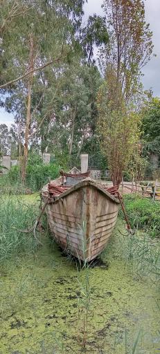 عکس مرداب و تالاب