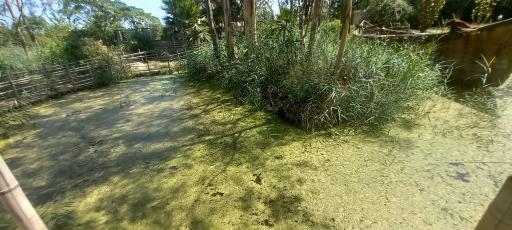 عکس مرداب و تالاب