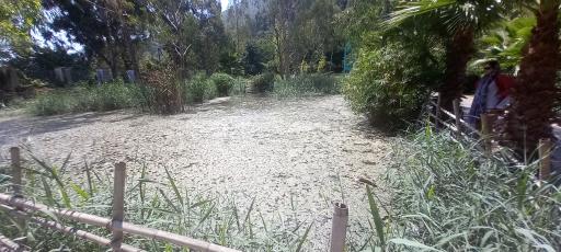 عکس مرداب و تالاب