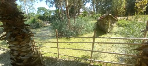 عکس مرداب و تالاب