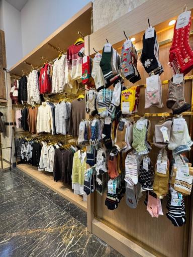 عکس گالری گلشید