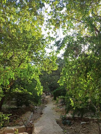 عکس باغ عکاسی ثریا