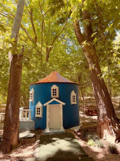 عکس باغ عکاسی ثریا