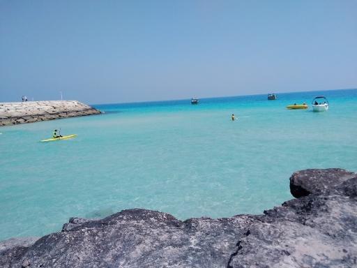 عکس آکادمی غواصی سیشل