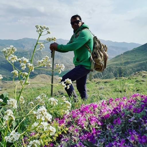 عکس اسفراین