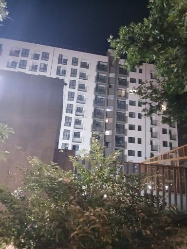 عکس تالی پارک معلم