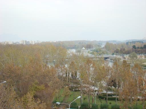 عکس فضای سبز میدان