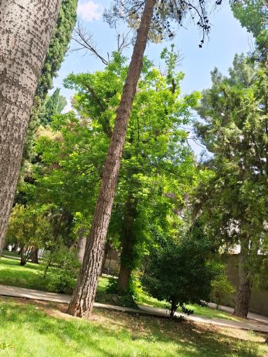 عکس اسفراین