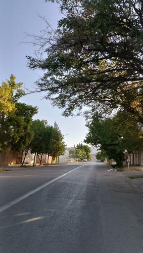 عکس اسفراین