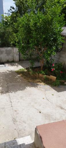 عکس سوییت خاله معصومه