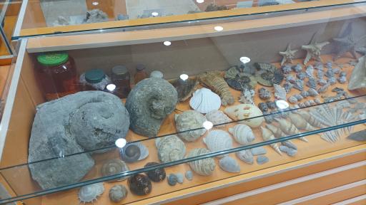 عکس موزه علوم زمین (سنگ) و آموزشگاه یاقوت کویر