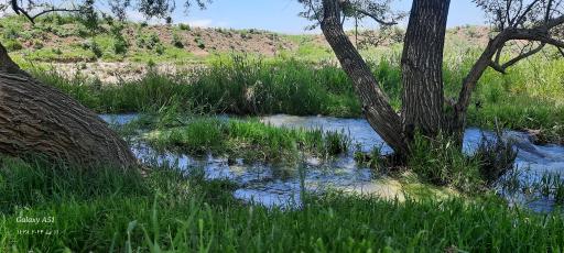 عکس امامزاده پیرشمس الدین