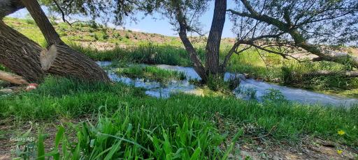 عکس امامزاده پیرشمس الدین