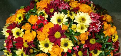 عکس گل فروشی آلسترومریا