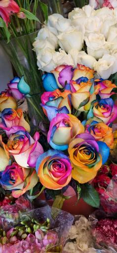 عکس گل فروشی آلسترومریا