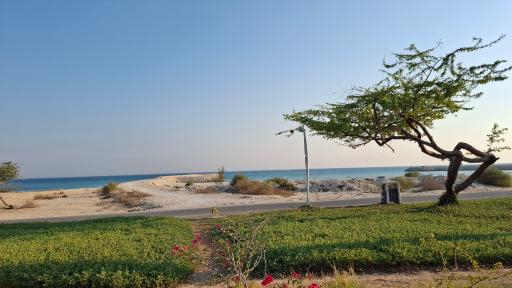 عکس ساحل طلوع