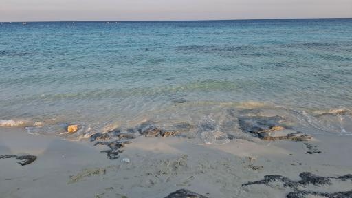 عکس ساحل طلوع