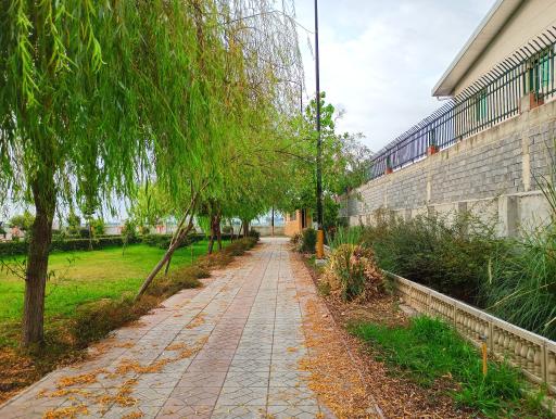 عکس بوستان امام علی (ع)