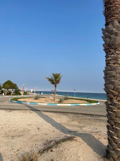 عکس ساحل طلوع