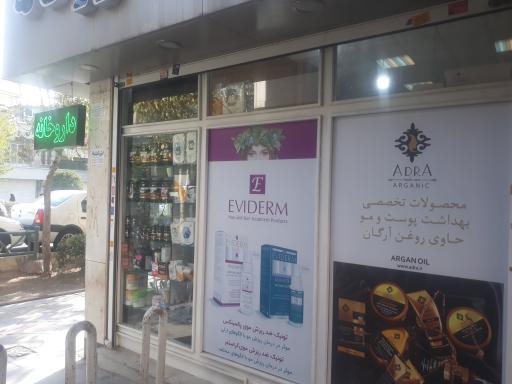 عکس دکتر مهرنوش مغربی