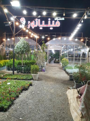 عکس گلسرای مینیاتور ۲