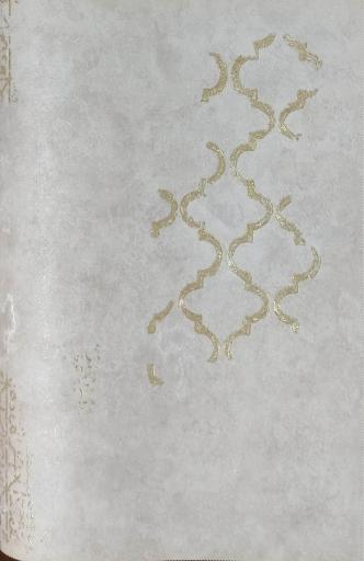 عکس بازرگانی مات 