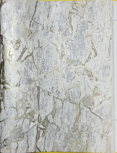 عکس بازرگانی مات 