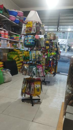 پت شاپ گربه سگ