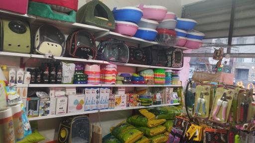 عکس پت شاپ گربه سگ