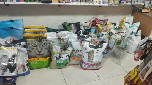 عکس پت شاپ گربه سگ