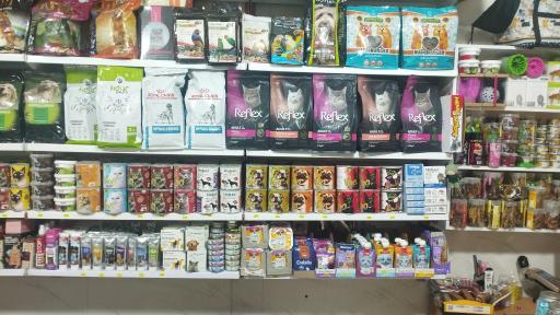 عکس پت شاپ گربه سگ